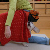 1. Hundespiele-Erfinder-Crashkurs