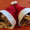 6. Eine Mütze voll Papier!