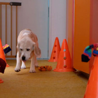 Indoorspaziergang: Pylonen-Stationen