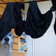 3. Unter der Flagge des Schlüppers