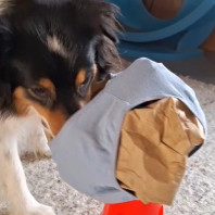 10. Schlüpper-Pinata