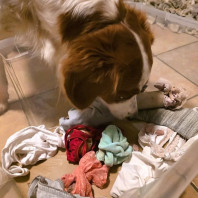 15. Schlüpperschnüffelkiste