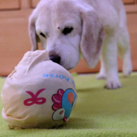 23. Schlüpper-Wunderball