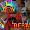 Ein Regenbogen für Berta