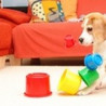 Mutmachspiele: Online-Live-Praxis-Kurs für ängstliche und skeptische Hunde
