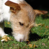 Futter – breit gestreut