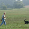 Abenteuer Spurensuche