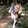 Wurzelhopping