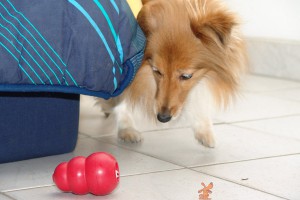sun-kong-sofa