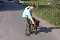 tierheim-target-training-04