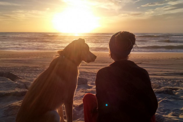 timon-hund-mensch-strand