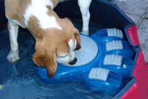 wasserspiele-schiffahoi-beagle-birte-04